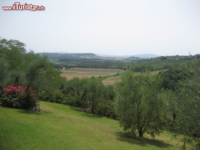 Immagine Le dolci Colline di Terricciola nei dintorni di Pisa