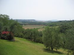 Le dolci Colline di Terricciola nei dintorni di Pisa