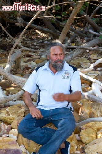 Robbie Mills guida i tour dal Porto di Darwin Australia - Robbie, un uomo tradizionale dei Larrakia, inizia il tour all'enorme porto di Darwin lungo l'Esplanade, e prosegue indicando i siti di rilievo culturale lungo la strada. Sotto la sua guida si può scoprire la flora locale e imparare il significato e gli usi di varie piante tramandati dal popolo aborigeno dei Larrakia.