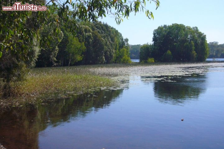 I paesaggi della Manton Dam Area Northen Territory - Il Northern Territory è un vero e proprio paradiso per gli amanti della natura e dell'ambiente. Una vacanza in auto o in camper vi danno modo di visitare il Northern Territory con estrema flessibilità, e seguendo i vostri ritmi.