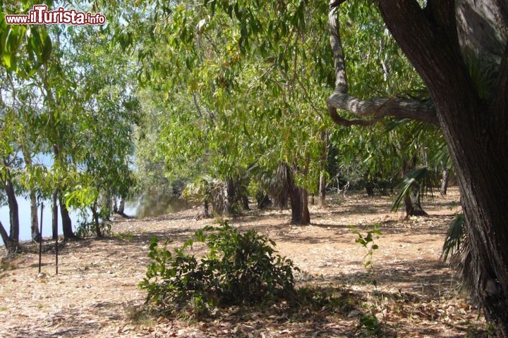 Manton Dam Area - si tratta un vero e proprio eden per tutti coloro che amano la natura nel Northen Territory, in  Australia