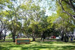 Civic Park a Darwin Australia