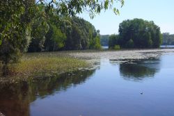 I paesaggi della Manton Dam Area Northen Territory ...