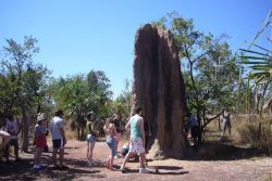 Termitaio gigante al Litchfield National Park ...
