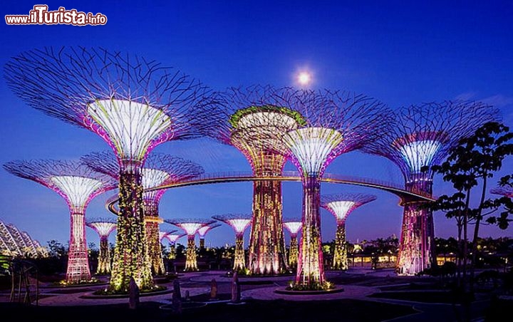 Immagine Singapore la foresta dei Supertrees Grove a Gardens by the Bay