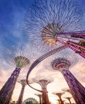 Super alberi Singapore Gardens By the Bay