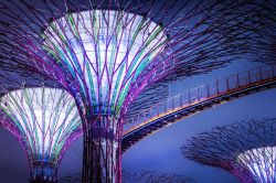 Supertrees a Gardens by the bay Singapore