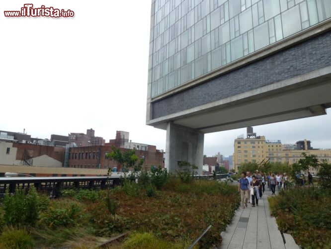 Immagine The Highline, Chelsea, New York City