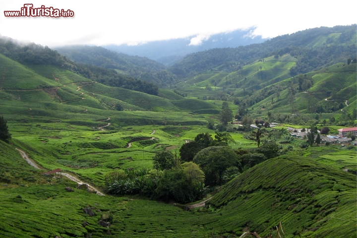 Patrimonio archeologico della Valle di Lenggong – Malesia
La Lenggong Valley, nell'alto Perak, è il luogo dove sono stati trovati i più antichi resti umani della penisola malese; il cosiddetto “Uomo di Perak” risale infatti a undicimila anni fa. Nella valle sono presenti numerose tracce di insediamenti umani del Paleolitico e trovano collocazione importanti siti archeologici (Kota Tampan, Kampung Gelok e Kampung Temelong) che abbracciano in totale quasi due milioni di anni di storia della Malesia; qui sono stati rinvenuti utensili di pietra vecchi di oltre centomila anni, ma dagli studi emerge che Gua Harimau fu anche – durante l'Età del Bronzo – un importante centro di produzione di oggetti costruiti con il metallo rosso. Il numero di siti ritrovati in un'area tanto circoscritta fa supporre l'esistenza di una comunità semi-sedentaria relativamente grande che si è protratta in un arco di tempo piuttosto esteso. 