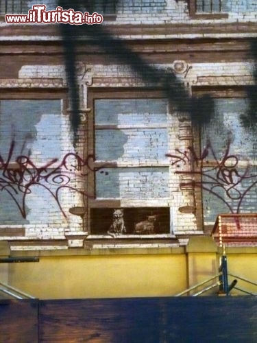Immagine Il famoso murales a Soho di Richard Haas, Find-it il gatto alla finestra, NYC