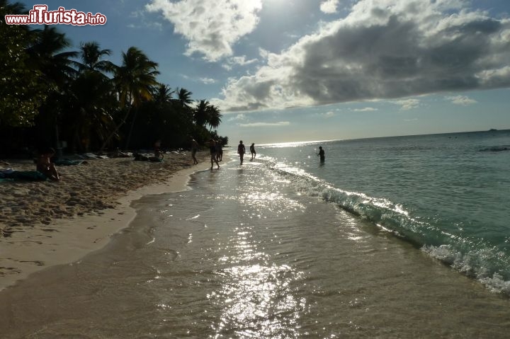 Immagine Isola di Saona, Repubblica Dominicana - Foto di Betty Zedda