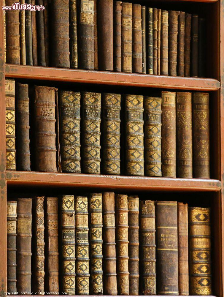 Immagine Libri antichi nella biblioteca di Praga, Repubblica Ceca - © jorisvo / Shutterstock.com