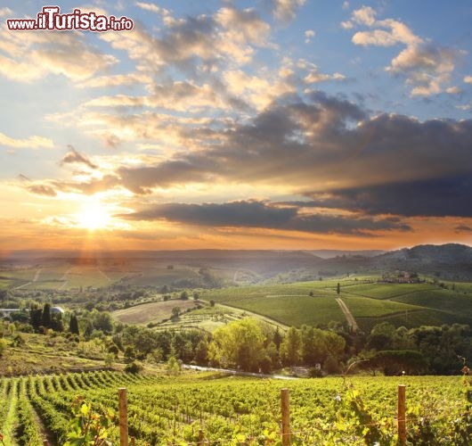 La Strada del Vino e dell'Olio Chianti Classico, Toscana
L’Italia è un tripudio di vini diversi, ma i filari e i colli più famosi sono quelli toscani. Culla della lingua e della cultura nostrane, la Toscana vanta vitigni prestigiosi, oltre a un olio rinomato e prodotti gastronomici invidiati in tutto il mondo. Di strade del vino ne ha parecchie, ma la più nota è forse quella del Chianti: compresa tra Firenze e Siena, la Strada del Vino e dell’Olio Chianti Classico comprende i Comuni di Greve, Radda, Castellina e Gaiole in Chianti, ma tocca anche Castelnuovo Berardenga, Barberino Val d’Elsa, San Casciano Val di Pesa, Poggibonsi e Tavarnelle. Nel verde della campagna, i borghi sono timidi agglomerati di pietra fatti per accogliere i viandanti e ammirare le bellezze di Toscana. Si mimetizzano tra i campi costellati di balle di fieno, i boschi, le distese di girasoli, gli ulivi e le vigne, senza guastare il paesaggio ma ricordando le atmosfere magiche del medioevo.

L’itinerario avvicina arte, cultura e buona tavola: visitate Greve in Chianti e la sua piazza del mercato, Radda in Chianti e il Castello di Brolio, ma nel frattempo fermatevi nelle cantine per una visita guidata o una degustazione. Assaggerete il vino Chianti Classico DOCG, ottenuto da uve Sangiovese più altri vitigni a bacca rossa, e il Vinsanto del Chianti preparato con uve bianche appassite di Trebbiano e Malvasia.
Per maggiori informazioni sulle aziende vinicole, gli appuntamenti enogastronomici e le località storiche del Chianti visitate il sito www.chianticlassico.com.  Foto © samott 