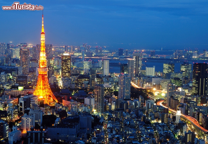 La Capitale più grande e costosa del mondo è... Tokyo, Giappone.
Detiene ben due record mondiali. Non è solo la capitale più vasta del mondo, ma anche la più cara per gli espatriati, a quanto dice la ricerca Worldwide Cost of Living Survey 2012 di Mercer group. Entro i confini della metropoli del Giappone, che misura ben 6993 kmq, sembrano essere particolarmente cari gli appartamenti, i ristoranti e i mezzi pubblici. Pare che un affitto possa sfiorare i 5mila euro mensili, ma attenzione: anche qui, come in ogni angolo del pianeta, il prezzo è in parte proporzionato alla qualità dell’offerta. Insomma, esistono alloggi dignitosi ma meno lussuosi a cifre decisamente più accessibili. Un turista può ingegnarsi e mangiare bene con pochi euro, evitando la bancarotta pur visitando Tokyo, che però resta la capitale più cara per chi, dall’estero, decide di trasferirsi qui stabilmente. Foto ©shirophoto