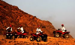 Deserto alle spalle si Sharm el Sheikh, DA alle prese con i quad
DONNAVVENTURA 2010 - Tutti i diritti riservati - All rights reserved