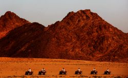 Deserto alle spalle si Sharm el Sheikh, DA alle prese con i quad
DONNAVVENTURA 2010 - Tutti i diritti riservati - All rights reserved