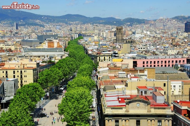 Immagine I viali alberati delle Ramblas tagliano a metà il centro storico di Barcellona, dalla zona del Barrio Gotico fino al Porto vecchio della città - © nito / Shutterstock.com