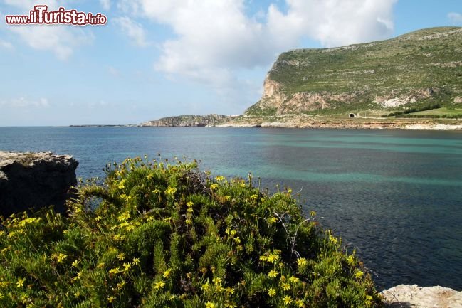 Immagine Favignana