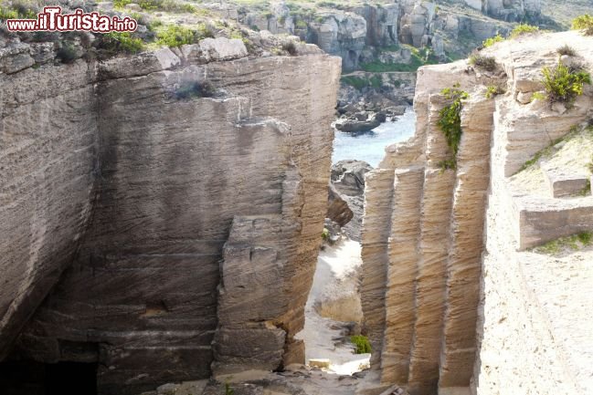 Immagine Favignana