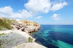 Favignana