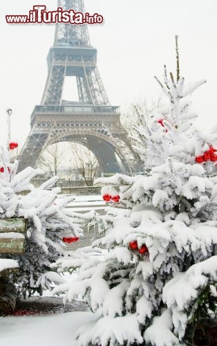 Immagine La magia della neve a Parigi, con alberi decorati per il Natale davanti alla Tour Eiffel - © Ekaterina Pokrovsky / Shutterstock.com