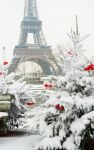 La magia della neve a Parigi, con alberi decorati per il Natale davanti alla Tour Eiffel - © Ekaterina Pokrovsky / Shutterstock.com