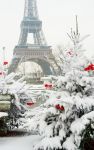 La magia della neve a Parigi, con alberi decorati ...