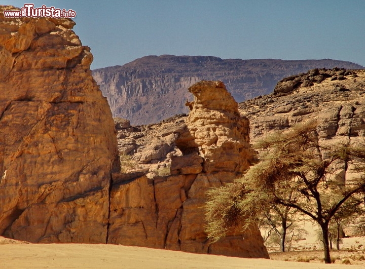 Gilf Kebir, Egitto
Se il luogo più intrigante per gli appassionati di misteri rimane la piana di Giza, la sua posizione non è certo tra le più sicure del pianeta, e la sua vicinanza a il Cairo non la renderebbe particolarmente raccomandabile nel caso si scatenasse una panico globale. Meglio allora il meridione dell'Egitto dove si erge l'altopiano del Gif kebir, un acrocoro che si solleva di circa 300 metri sulla quota media del Sahara, a sud del Deserto Bianco. Tra queste montagne piove di rado, quindi è necessario avere abbondanti scorte d'acqua, ma vi trovate in una zona assolutamente protetta da sconvolgimenti marini. E poi, se le cabala serve a qualcosa, la regione è ricca del cosiddetto “silica glass” ed è già stata interessata da una collisione meteorica nel passato, Si può dire allora che, da quelle parti, hanno giù dato il loro contributo di "disgrazie".  Qui la mappa interattiva.