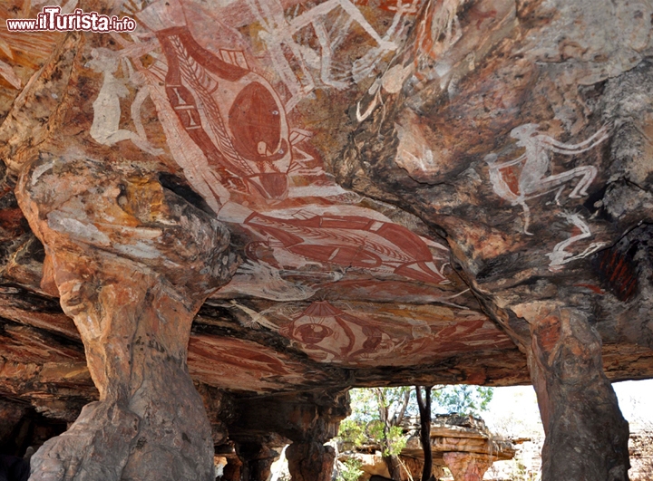 Nawarla Gabarnmang, Northen Territory
Questa è una grotta del Nord Australia (Arenhem Land) abitata dall'uomo in epoche antichissime: i dipinti sono stati datati come risalenti ad almeno 28.000 anni fa, e quindi gli aborigeni di quei luoghi hanno visto trascorrere quasi 6 cicli di lungo computo, senza apparenti problemi! Anche in caso di catastrofe planetaria, le tribù del popolo Yolngu potrebbero aiutarvi a sopravvivere vivendo dei solo prodotti della natura, come sanno fare da decine di migliaia di anni, e vi trovate quindi in uno dei luoghi migliori in assoluto dove affrontare una cataclisma globale. Qui la mappa interattiva.