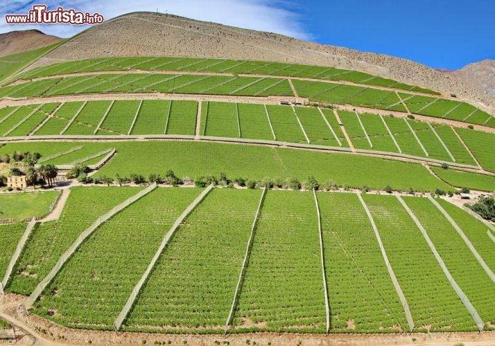 La valle de Elqui (Cile) dall'alto - © DONNAVVENTURA® 2012 - Tutti i diritti riservati - All rights reserved