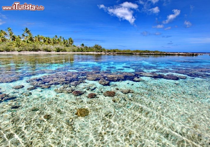 I giardini di corallo nella laguna presso Tahaa - © DONNAVVENTURA® 2012 - Tutti i diritti riservati - All rights reserved