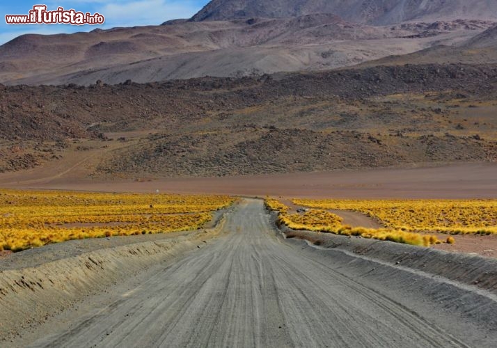 Sulla via dei geysers del Tatio, che si trovano a nord di San Pedro di Atacama - © DONNAVVENTURA® 2012 - Tutti i diritti riservati - All rights reserved
