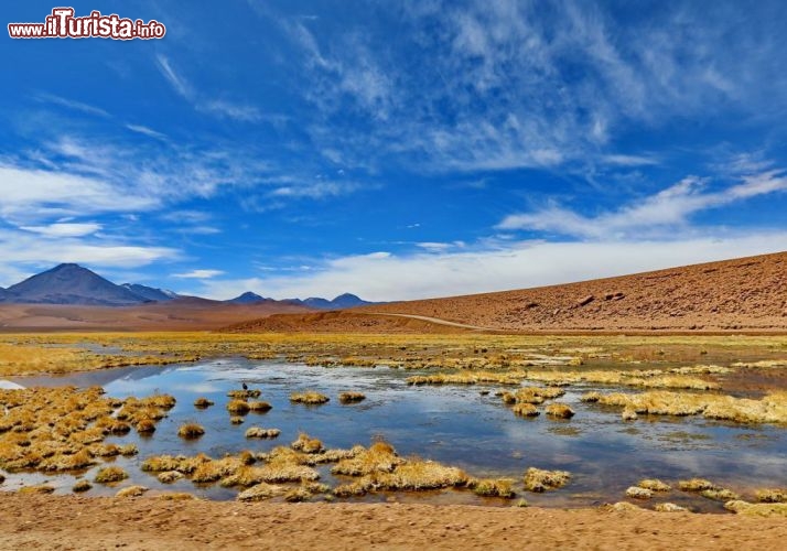 Una laguna nei pressi dei geysers del tatio ad alta quota - © DONNAVVENTURA® 2012 - Tutti i diritti riservati - All rights reserved