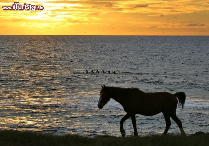Cavallo al tramonto dull'Isola di Pasqua (RAPA NUI) - © DONNAVVENTURA® 2012 - Tutti i diritti riservati - All rights reserved