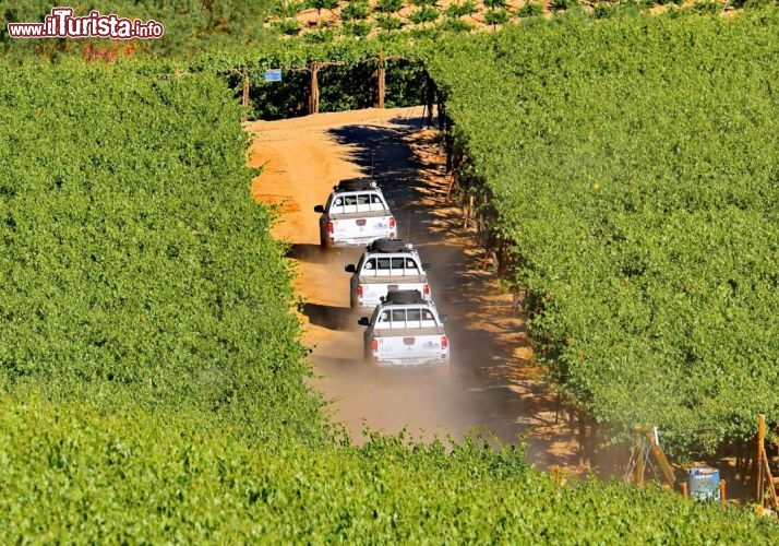 I Pick up fra i vigneti nella Valle de Elqui - © DONNAVVENTURA® 2012 - Tutti i diritti riservati - All rights reserved