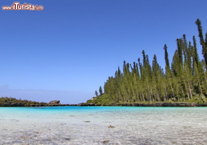 Le piscine d'Oro, il mare cristallino si trova presso l'isola dei Pini in Nuova Caledonia - © DONNAVVENTURA® 2012 - Tutti i diritti riservati - All rights reserved