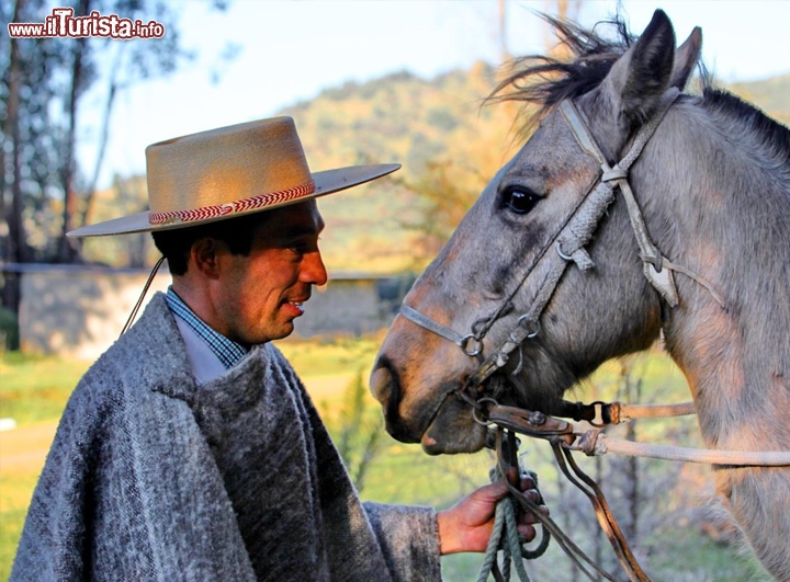 Cavalli presso la residencia historica. Ci troviamo nei pressi di Marchihue, nel Cile  - © DONNAVVENTURA® 2012 - Tutti i diritti riservati - All rights reserved