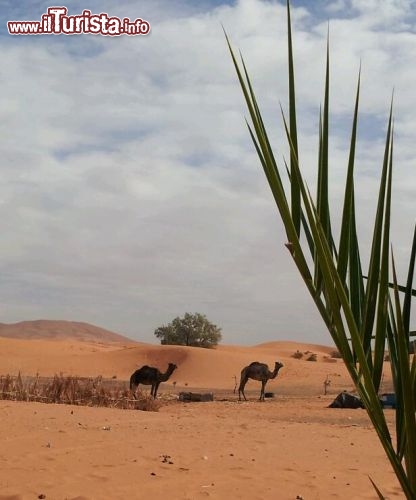 A Merzougasi respira giù il fascino del deserto del Sahara - Foto di Mara Agostini