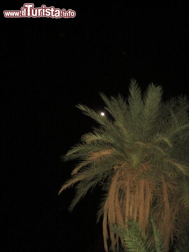 La luna nel deserto fa l'occhiolino tra i rami di una palma. Siamo a Merzouga in Marocco, il villaggio famoso per trovarsi a fianco del cmapo di dune dell'Erg Chebbi - Foto di Mara Agostini