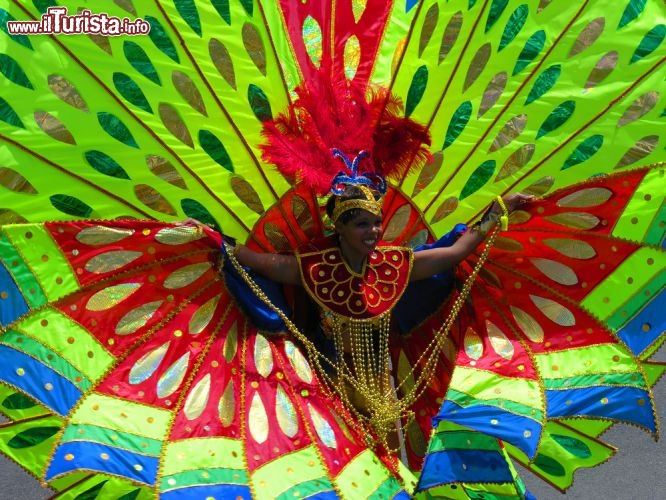 La coloratissima Parata del Carnevale di St Thomas, alle Isole Vergini americane. Sarà per il clima fantastico durante il mese di febbraio, ma le isole Vergini sono forse il luogo più piacevole dove festeggiare il carnevale, anche per la passione con cui gli isolani vivono questa festa ricca di musiche, danze e spettacoli cromatici - © Kendra Nielsen / Shutterstock.com