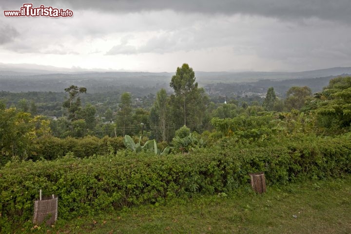 Immagine Panorame di Jinka