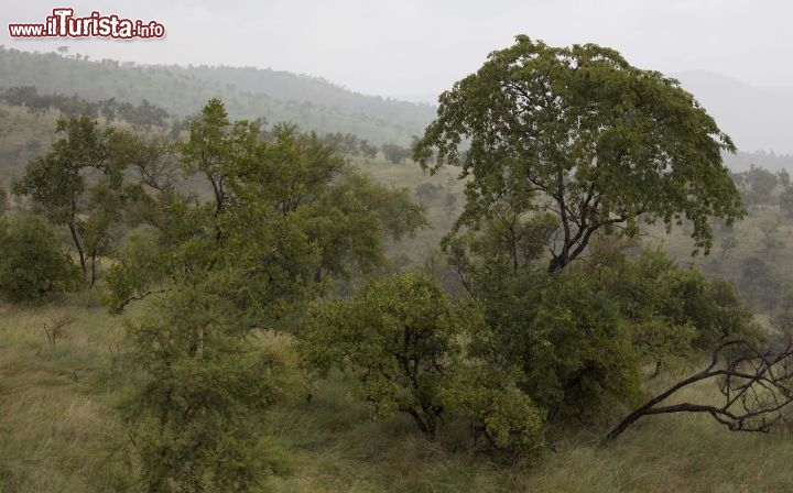 Immagine Paesaggio sulla strada per Jinka durante la pioggia