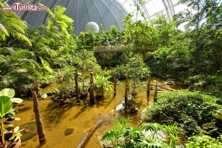 Una foresta a tropicale a Berlino? No siamo nel parco acuatico di Tropical Islands - © www.tropical-islands.de