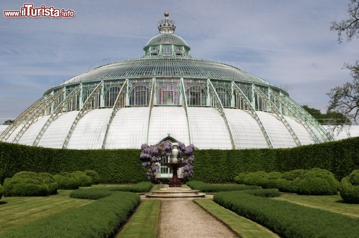 Le serre reali a Laeken vicino a Bruxelles, in Belgio - il Catello reale belga si trova a Laeken, ad ovest del centro di Bruxelles ed è ancor oggi la residenza ufficiale del re e della regina del Belgio, e la loro famiglia. Il palazzo venne eretto tra il 1782 e il 1784, ma alcuni parti che  sono più recenti, ricostruite dopo il grave incendio del 1890. Mentre il palazzo non è visitabile, il bellissimo Parco di Laeken è invece una visita consigliatissima, sia per ammirare il Monumento reale alla Dinastia, in stile neo gotico, il Padiglione cinese e la Torre giapponese, ma soprattutto le grandi Serre Reali, sette ambienti magnifici, sia per la loro architettura che per le rare specie botaniche che costudiscono. Ricordatevi che le serre aprono al pubblico solamente in primavera, tra la fine di aprile ed inizio maggio, periodo adatto per la visita anche per le magnifiche fioriture all'interno del parco - © bart acke / Shutterstock.com