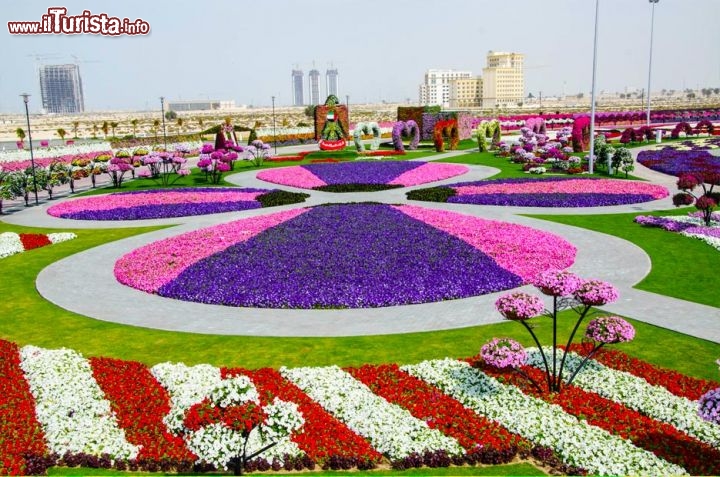 A Dubai si aspettano 1 milione di visitatori, ogni anno, che verranno a trovare un po' di fresco primaverile al Miracle Garden - © www.dubaimiraclegarden.com