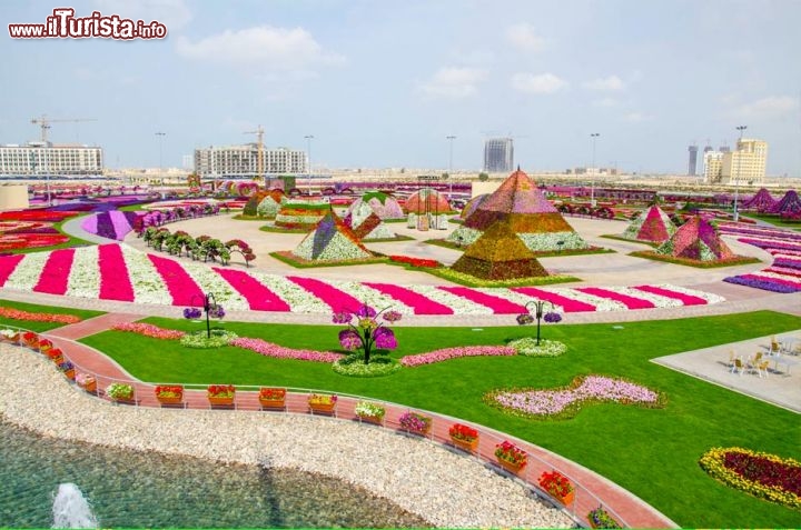 Piramidi di Fiori nel deserto? Possibili nel Dubai Miracle Garden, la nuova attrazione turistica che è stata costruita vicino al parco giochi di Dubailand, al confine tra la periferia della città con le aride campagne dell'interno - © www.dubaimiraclegarden.com
