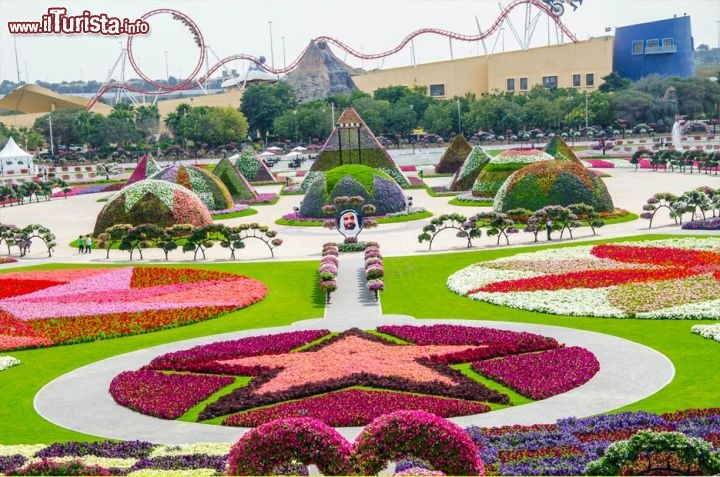 Il Miracle Garden si trova vicino a Dubailand, sullo sfondo si notano le montagne russe in azione - © www.dubaimiraclegarden.com