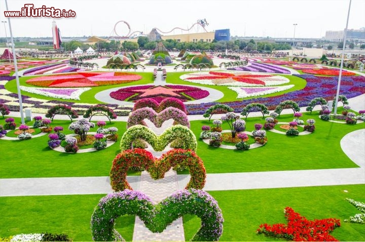 Il giardino di Dubai Miracle Garden possiede una Superficie di ben  72000 metri quadri sulla quale sono stati distribuiti oltre 45 miloni di fiori - © www.the-miracle-garden.com