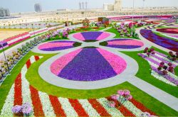 Il Dubai Miracle Garden ha aperto i battenti ...