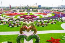 Il giardino di Dubai Miracle Garden possiede ...